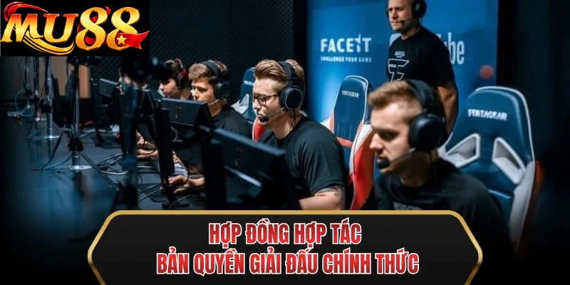 hop dong hop tac ban quyen giai dau chinh thuc